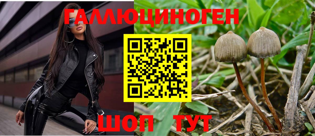 Галлюциногенные грибы мухоморы Лабытнанги